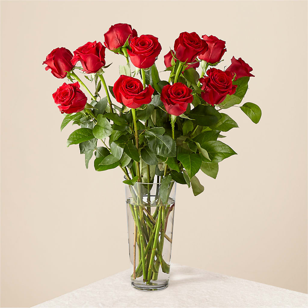 Long Stem Red Rose Bouquet – Four Seasons Florist, Clarksville TN