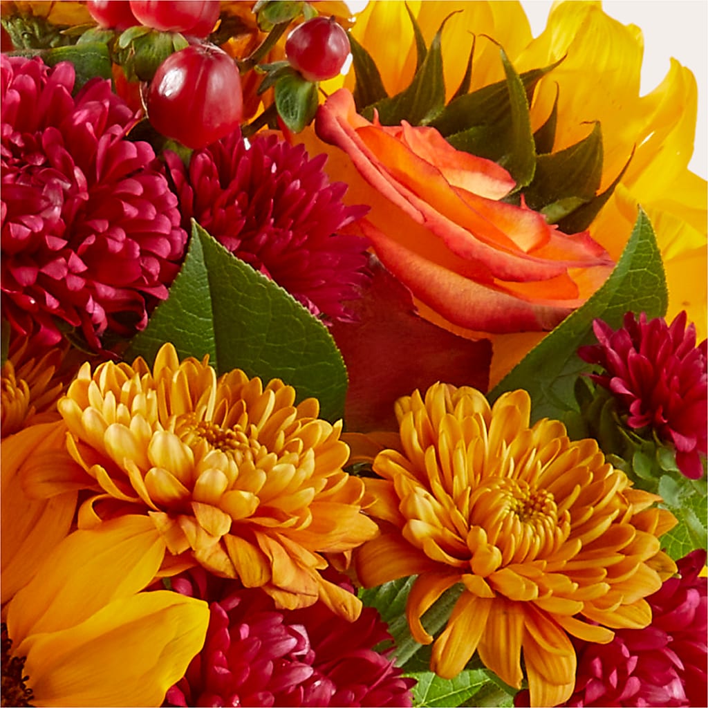 Sweater Season - A Florist Original – Four Seasons Florist, Clarksville TN