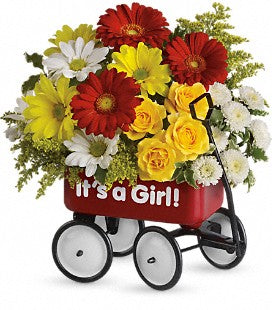 Happy Girl Baby Wagon