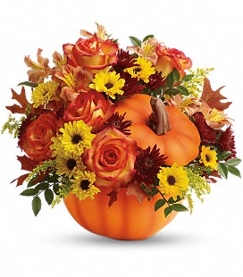 Pumpkin Spice Delight – Four Seasons Florist, Clarksville TN