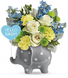 Hello Sweet Baby Blue – Four Seasons Florist, Clarksville TN