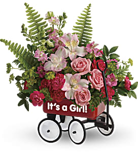 It's A Girl Baby Wagon