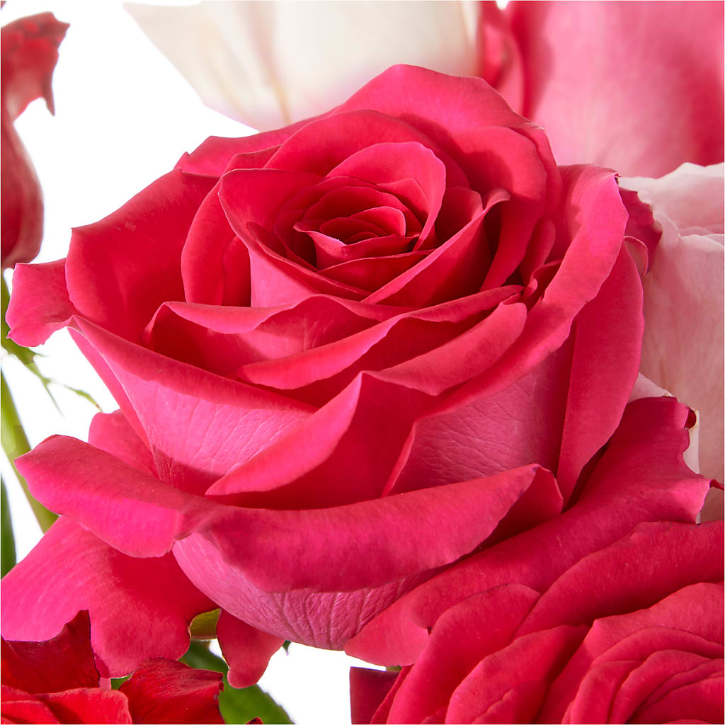 Love Notes Rose Bouquet – Four Seasons Florist, Clarksville TN