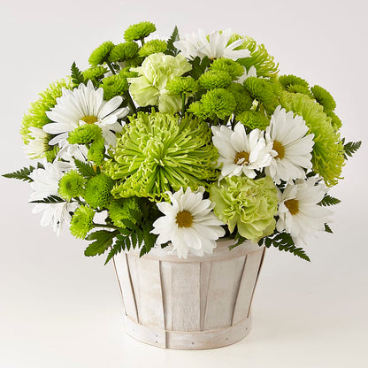 Lucky Charm Basket (Standard) –  Four Seasons Florist, Clarksville TN