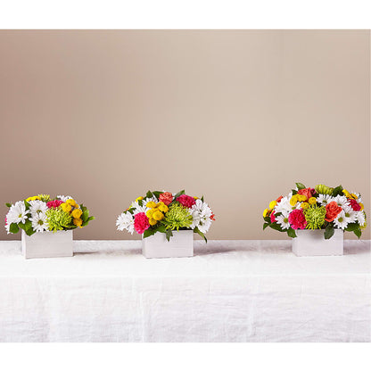 Sorbet Bouquet –  Four Seasons Florist, Clarksville TN