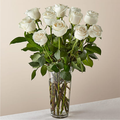 Long Stem White Rose Bouquet –  Four Seasons Florist, Clarksville TN