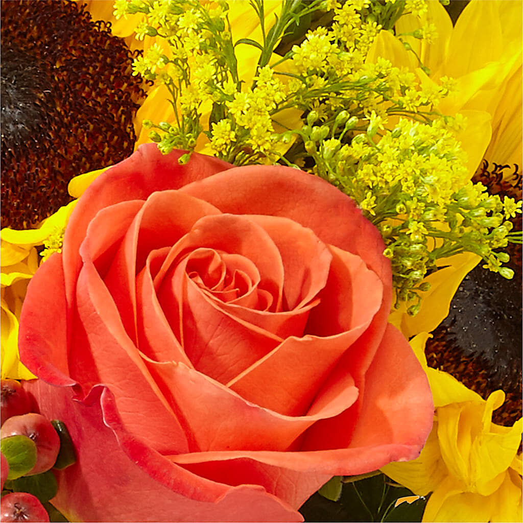 Pick of the Patch Pumpkin Bouquet –  Four Seasons Florist, Clarksville TN
