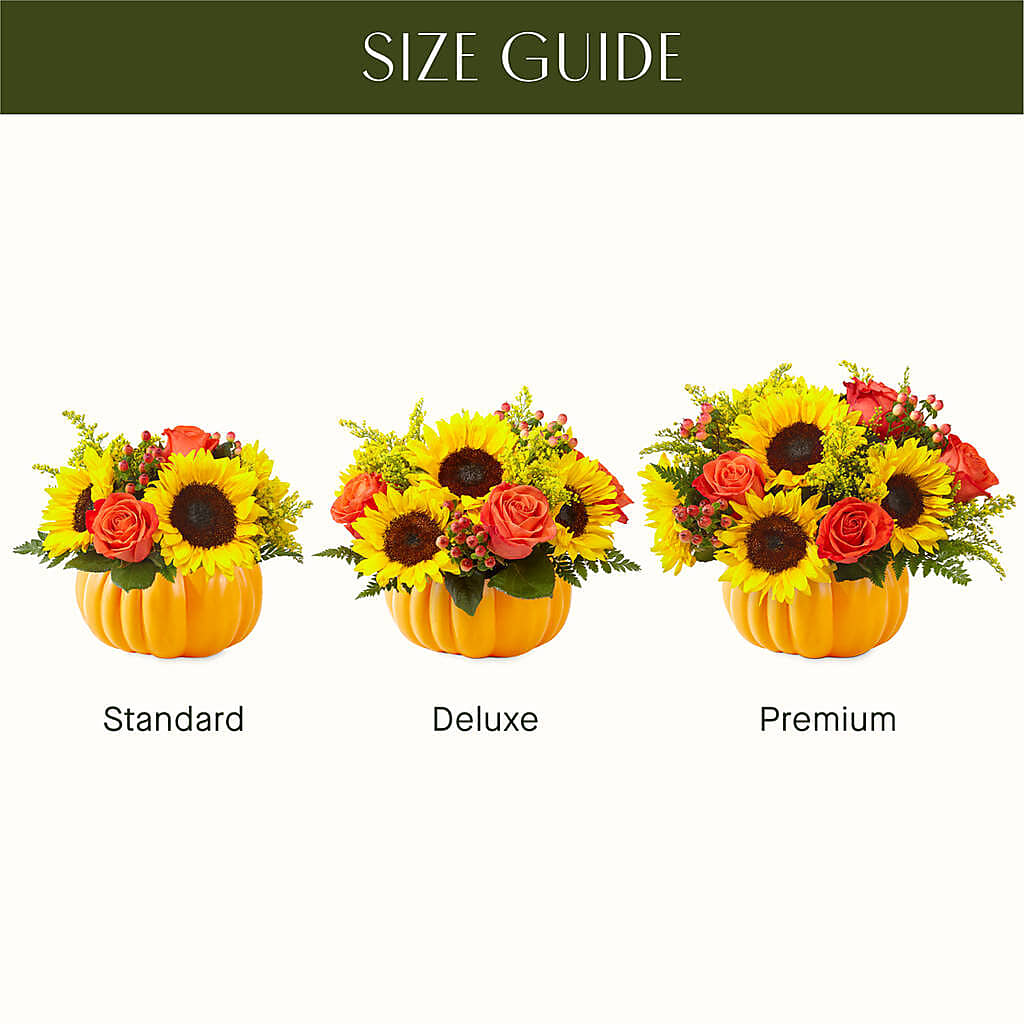Pick of the Patch Pumpkin Bouquet –  Four Seasons Florist, Clarksville TN