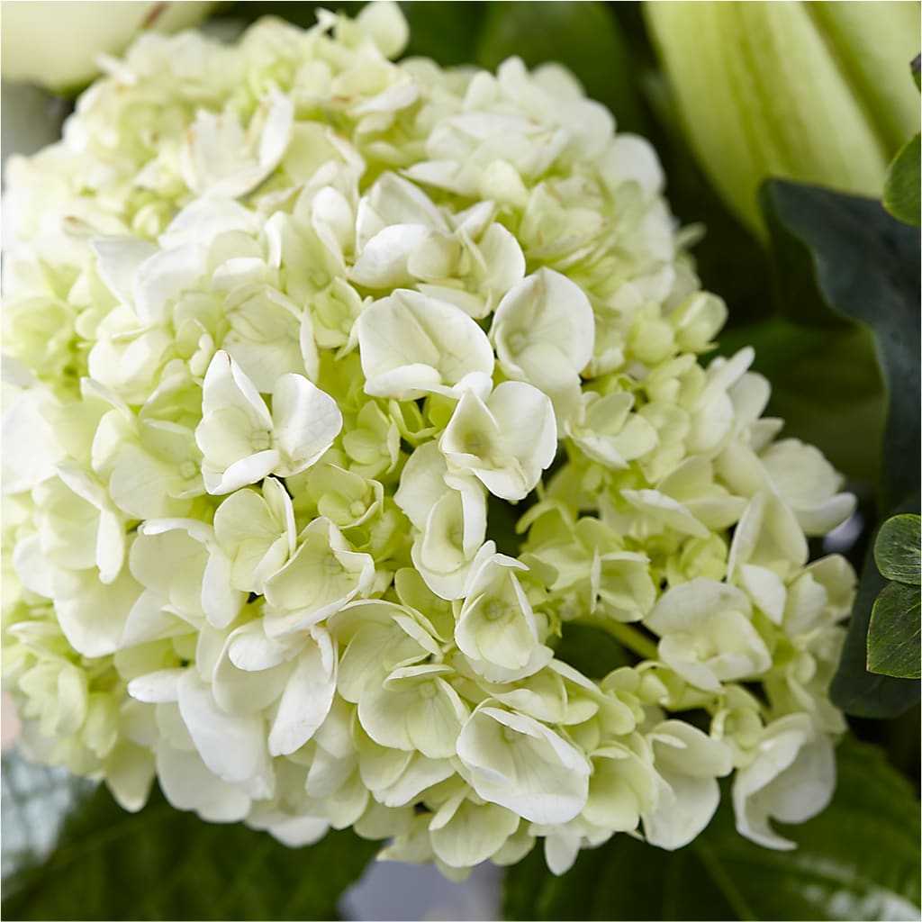 Classic Ivory – A Florist Original –  Four Seasons Florist, Clarksville TN