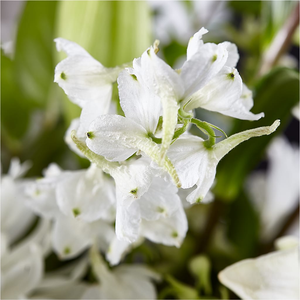 Classic Ivory – A Florist Original –  Four Seasons Florist, Clarksville TN