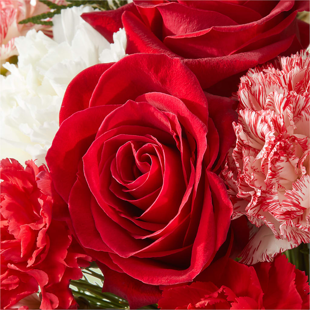 Candy Cane Lane Bouquet –  Four Seasons Florist, Clarksville TN