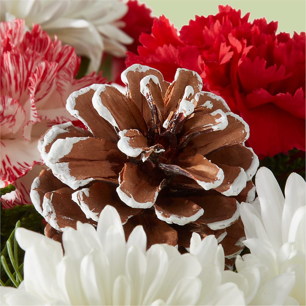 Candy Cane Lane Bouquet –  Four Seasons Florist, Clarksville TN