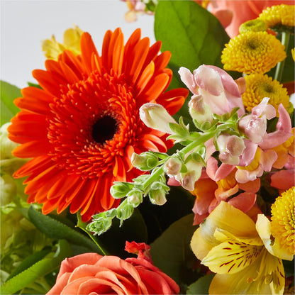 Autumn Sunshine Bouquet –  Four Seasons Florist, Clarksville TN