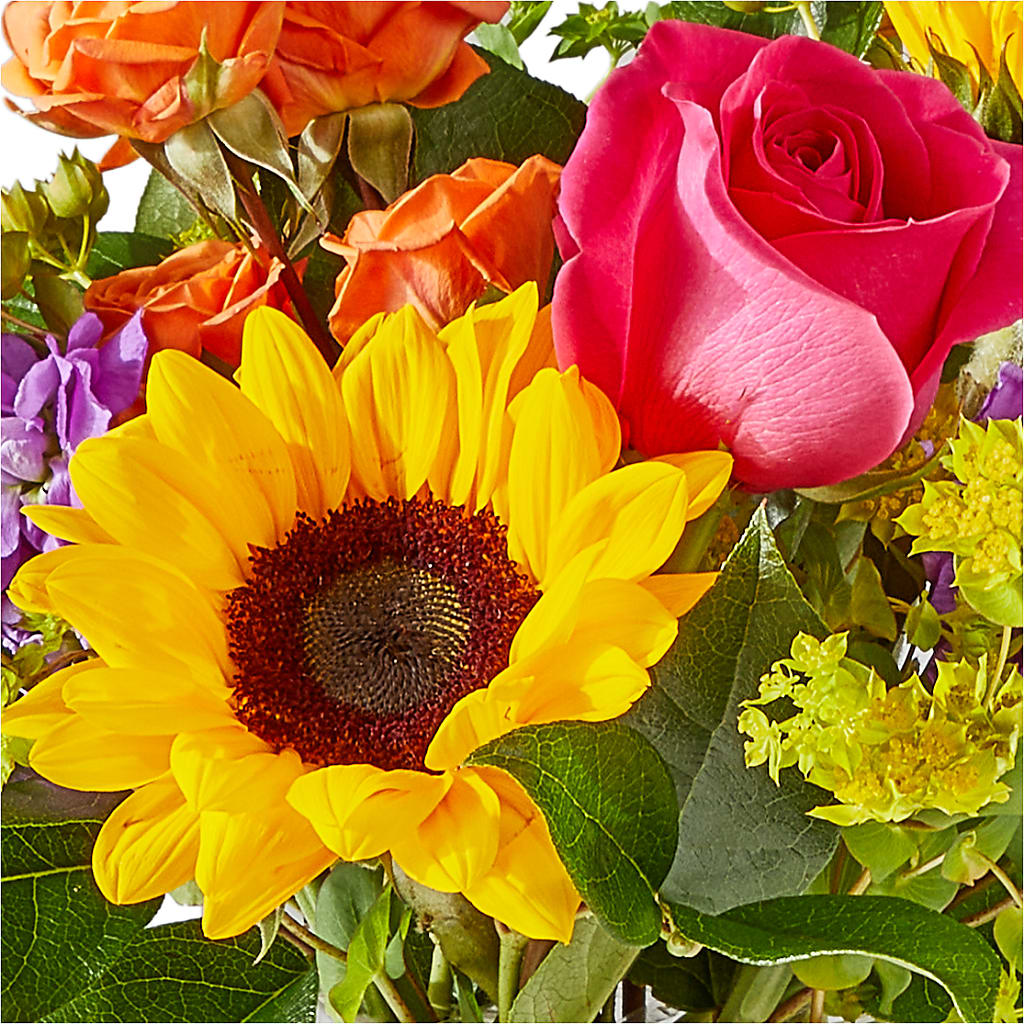 Vibrant Greetings Bouquet –  Four Seasons Florist, Clarksville TN